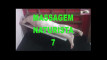 Pregled videozapisa