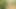 I Decided to Jerk off in the Woods, but Something Didn't Go According to Plan