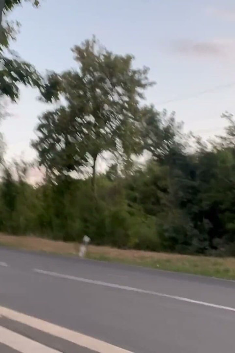 Public Female Exhibitionist Fingering at Bus Stop