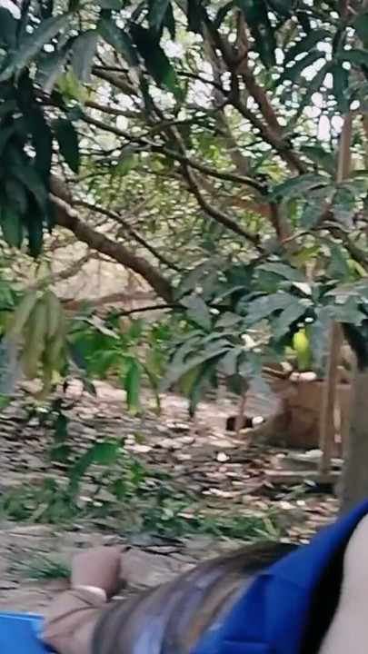 18 YEAR OLD STUDENT MEET STEPBROTHER IN FARM AFTER SCHOOL | Clip 1