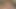 Brünette Brooke Banner (uxp)