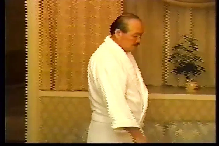 Vintage Japanese stepdaddies 1