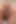 Porno için genç seçmeleri