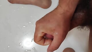 Young Cock