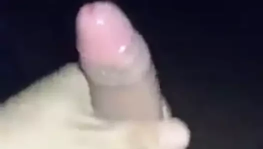 Lechero