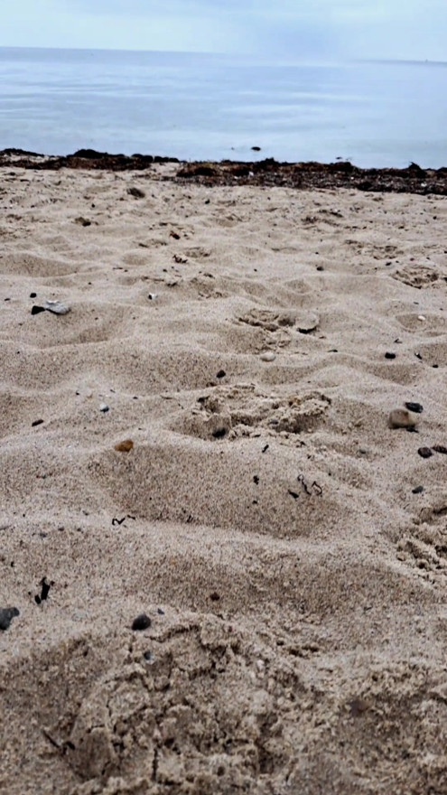 Poniženje penisa na nudističkoj plaži. Nosila za jaja za moja puna, teška jaja i prsten sa šiljcima za moj mekani, gubitnički kurac.