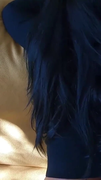 Iconic moment from "Step brother teaches stepsister with a big camel, how he likes to fuck"