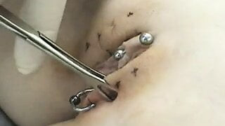 Labial Piercings 1 by snahbrandy