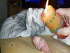Pregled videozapisa