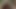 نيك زوجي في طيزه باستخدام دسار مخلس على طريقة الكلب - Shamelesshy