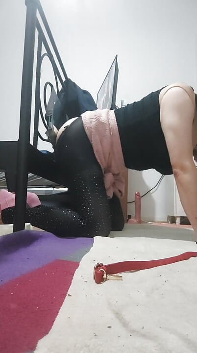 Pia alemana mariquita
