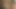 8teenhub - Jassie James and Serena South Have Bisexual Threesome with Hot Guy