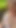 Facial and Risky Sperm Walk in the Forest