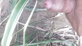 First time his cock rested in the woods Gao's bachelor boy Hindi sex video