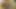 Is very long  shoot indian girl hot video