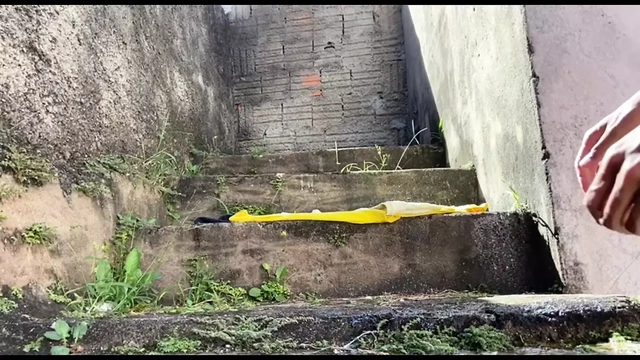I was almost caught by the neighbor jerking off on the street from my house
