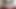 ベジタリアンズ7いただきました