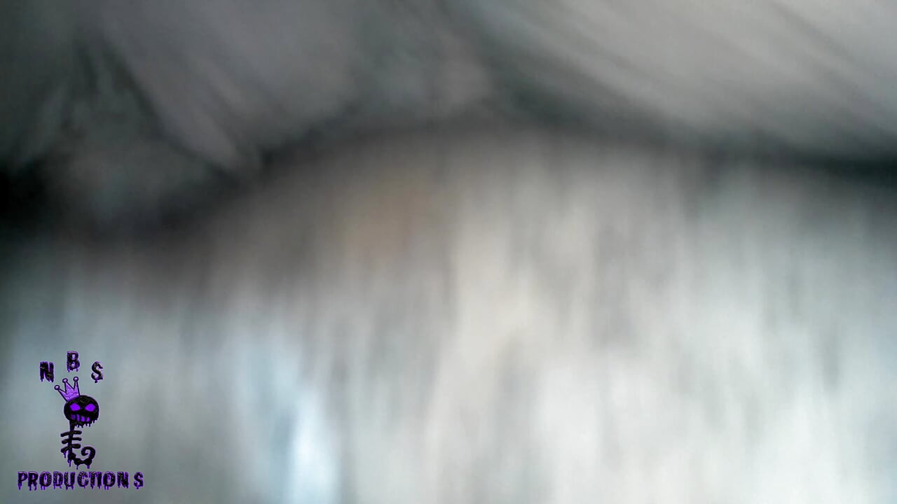 Чорношкірі заводчики 113