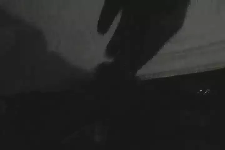 Deshi Chut și împrumutat