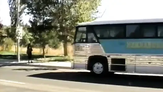 Похотливая чернокожая с волосатым пирожоком скачет на черном ебаре в автобусе