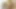Muscle twink Aalan Foxter handjob huge dick