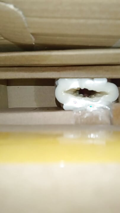 Cum inside homemade silicone pussy