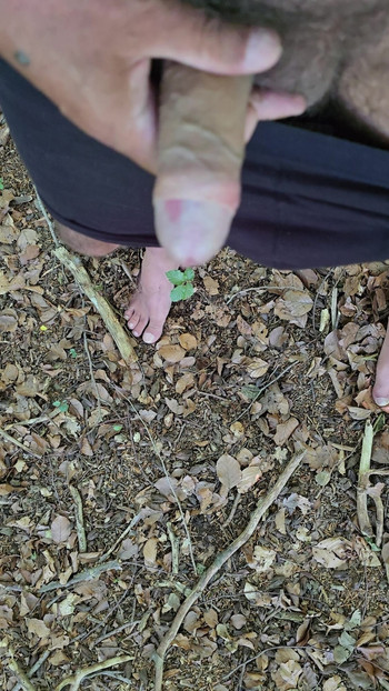 In the forest BL