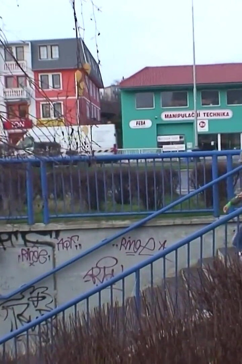 The Seediest Ghetto Is Where Outdoor Breeding Can Be Done in Relative Peace