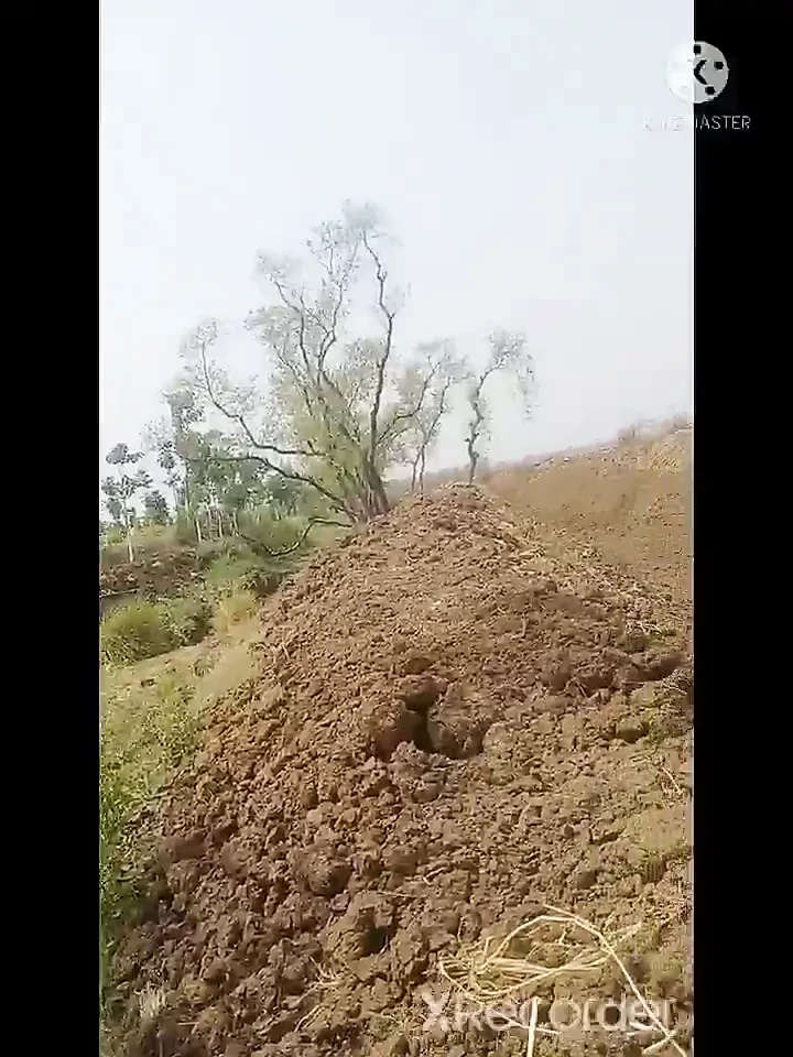 Bihar dalam senang