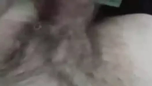 meraklı horoz
