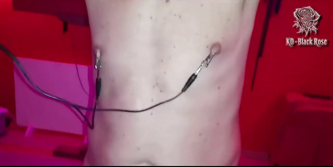 Obsah BDSM