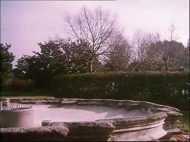 Quente peluda gata fodida no cu em orgia