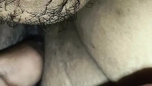 Bengalische Krawattenlecken