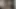 Angelica Bella production in veronica's anal debutantes