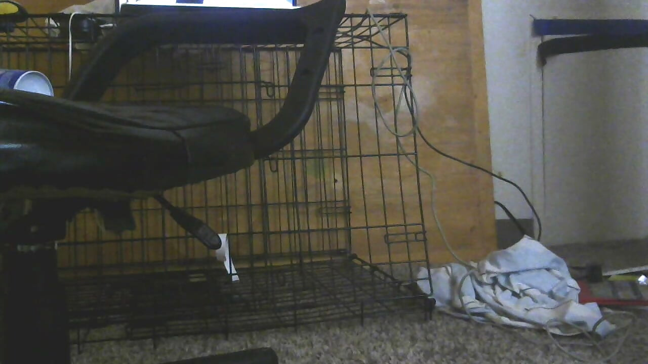 このお尻、くそったれ!