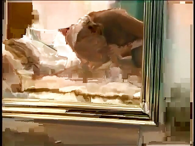 Tetas calientes dulce Shawna chupa y folla la preciosa polla en la cama