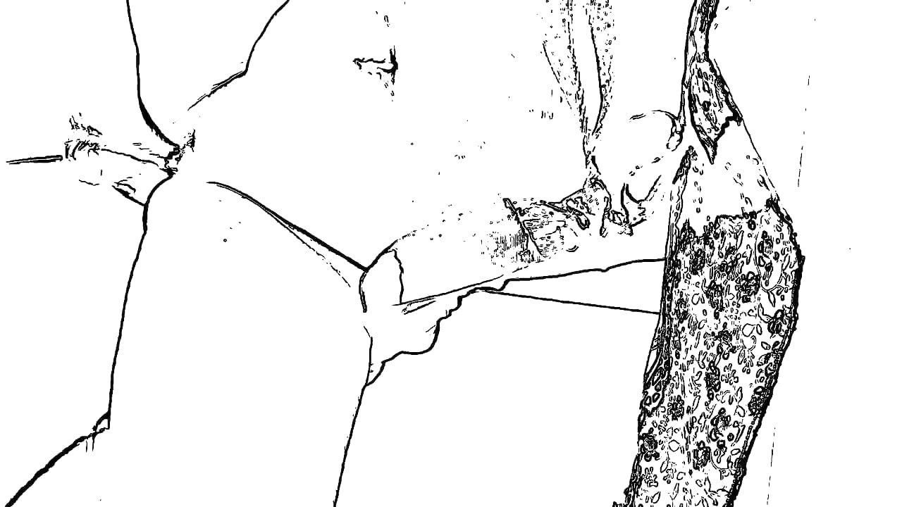 Big Boobs Big Ass Big Local Sex Boyfriend Girlfriend Sex Morning Sex Indian Girl Sex