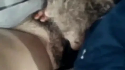 Наездница на ранчо Romp на выходных