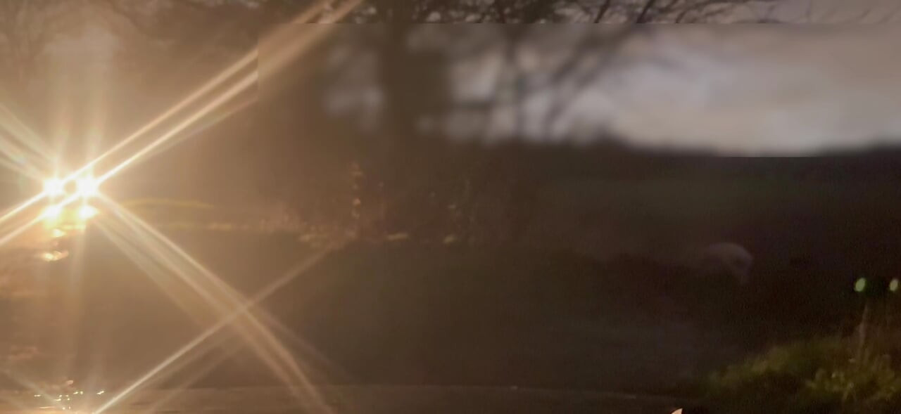 裸体和赤脚躲在经过的汽车手淫和抖动