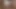 Beste amateur-paar-sexmomente - sperma-zusammenstellung (50 cumshots)