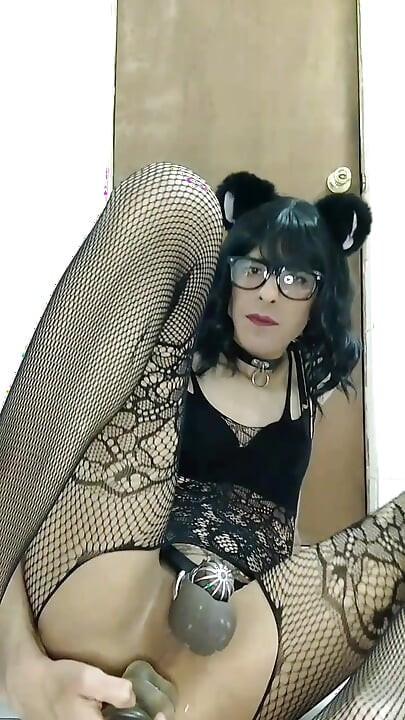 Латинский шмель из задницы в рот и целомудрия в клетке сиссигазм