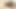 Fantasy-lesben-BDsm-Rollenspiele