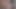 ベイブシジュウカラファック1