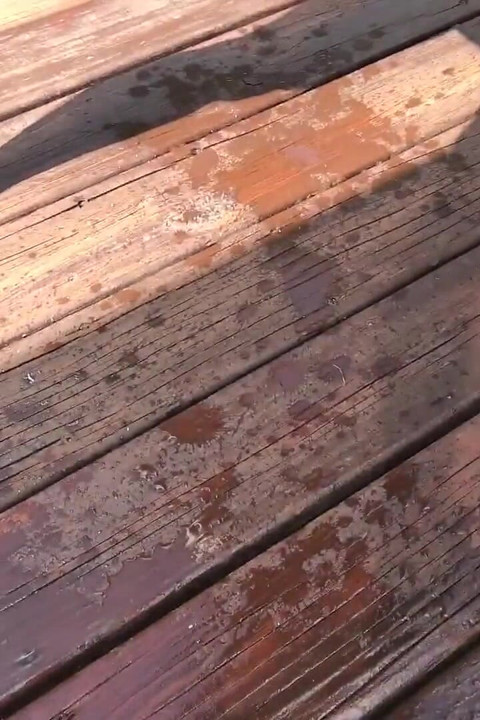 Pee Compilation