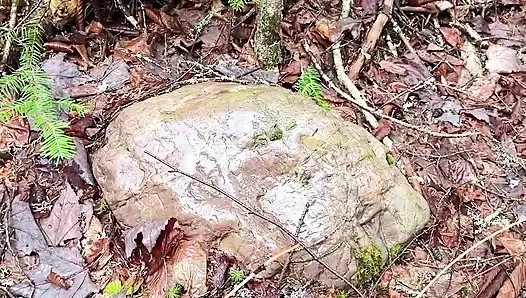 Pussy Pissing Water on the Rock