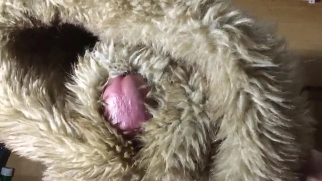 Fucking an Abercrombie Fur Hoodie with Cum