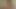 Lelu Love-Tip Teasing Assjob Cameltoe Slide Reverse Cowgirl