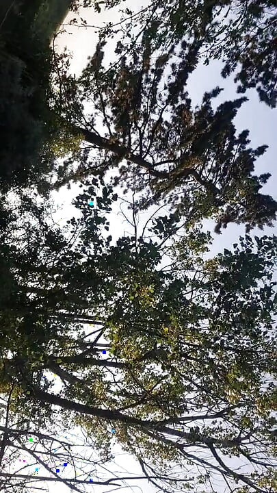 Masturbando na floresta...