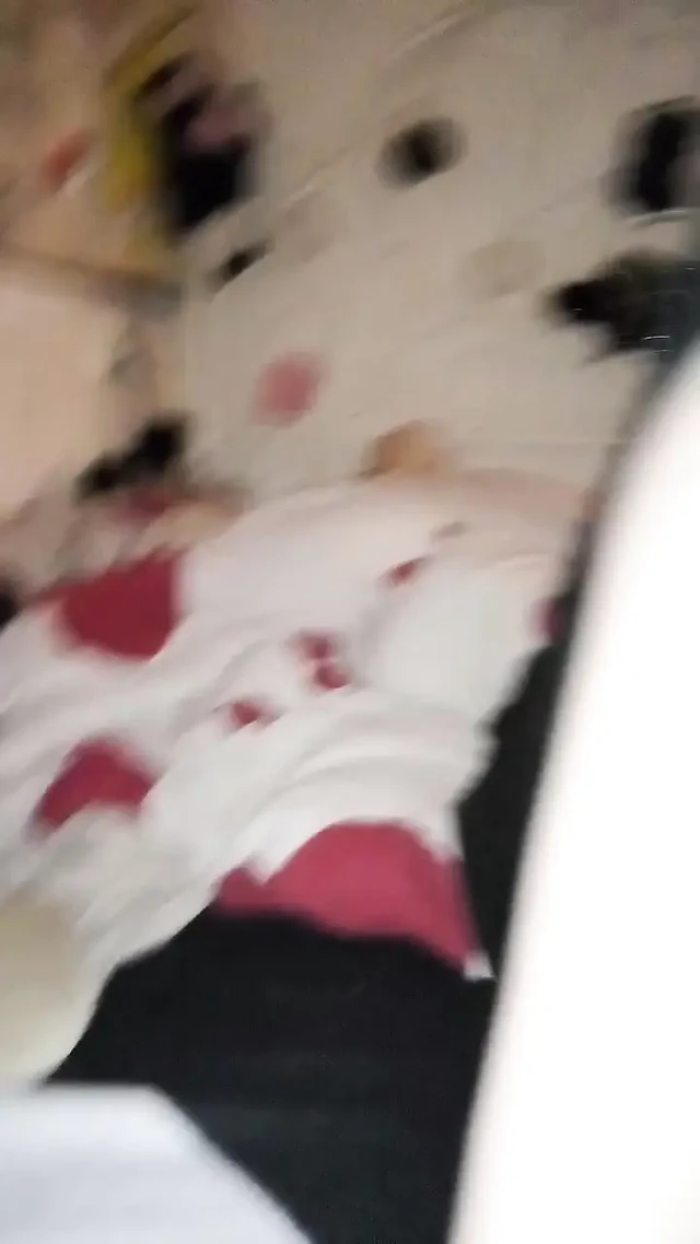 Wobbly dachshund camera little cringe for it fuck and freestyle