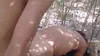 Outdoor doggystyle fuck